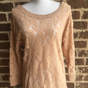 Anthropologie Eloise Lace Sheer Sweater